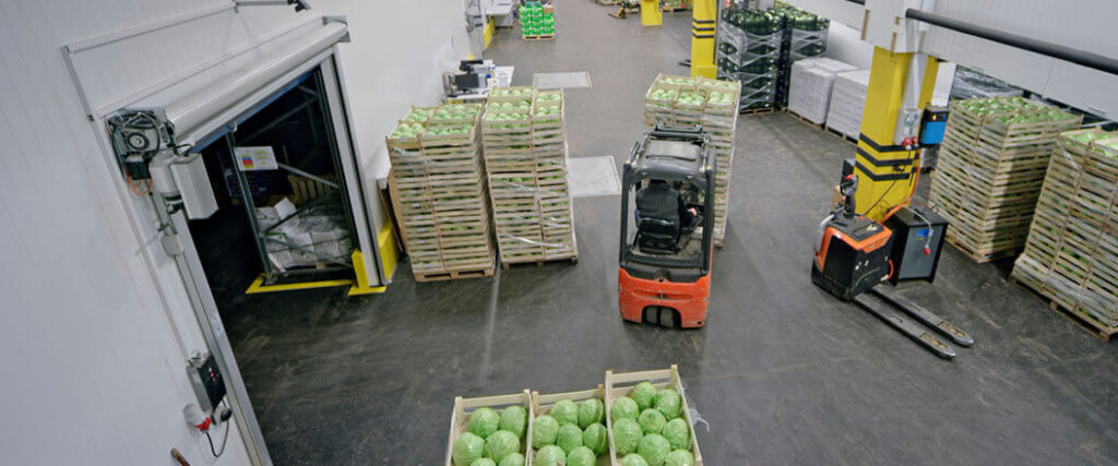 warehouse floor shifting palletized loads of cabbage heads